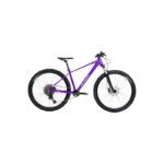 BICICLETA ALUBIKE XTA 2.0 RODADA 29 PURPURA