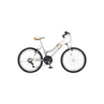 BICICLETA BENOTTO MADEIRA RODADA 24