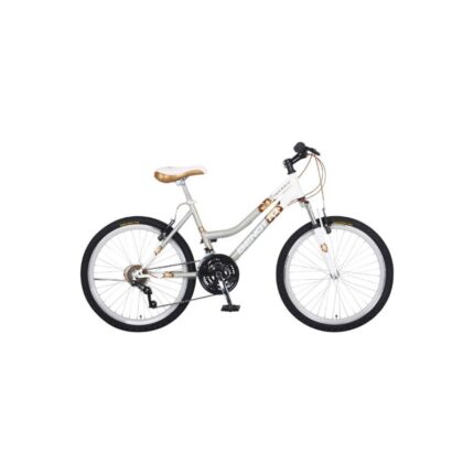 BICICLETA BENOTTO MADEIRA RODADA 24