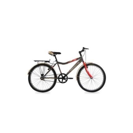 BICICLETA BENOTTO STREGA RODADA 24