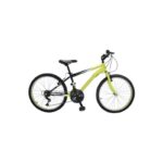 BICICLETA WOLF RODADA 24